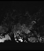 0649.jpg